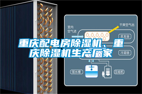 重慶配電房除濕機、重慶除濕機生產(chǎn)廠家