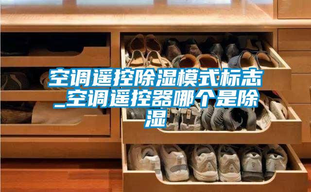 空調遙控除濕模式標志_空調遙控器哪個是除濕