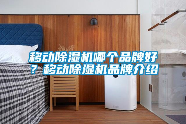 移動除濕機(jī)哪個品牌好？移動除濕機(jī)品牌介紹