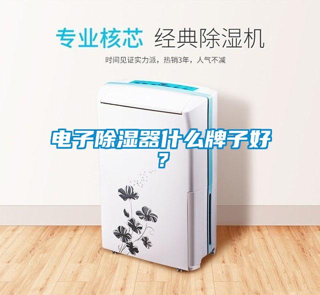 電子除濕器什么牌子好？
