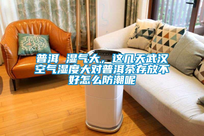 普洱 濕氣大，這幾天武漢空氣濕度大對(duì)普洱茶存放不好怎么防潮呢