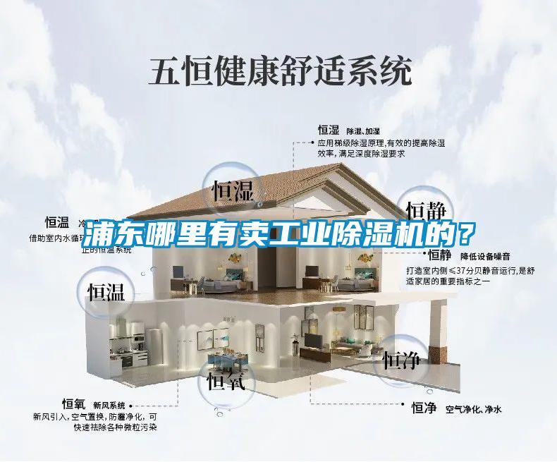 浦東哪里有賣工業(yè)除濕機(jī)的？