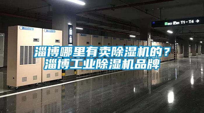 淄博哪里有賣除濕機的？淄博工業(yè)除濕機品牌