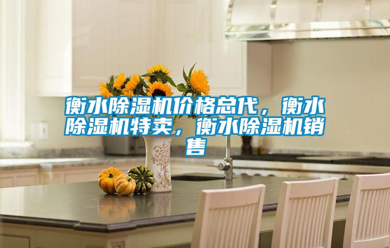 衡水除濕機(jī)價(jià)格總代，衡水除濕機(jī)特賣，衡水除濕機(jī)銷售