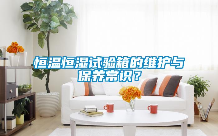 恒溫恒濕試驗箱的維護與保養(yǎng)常識？