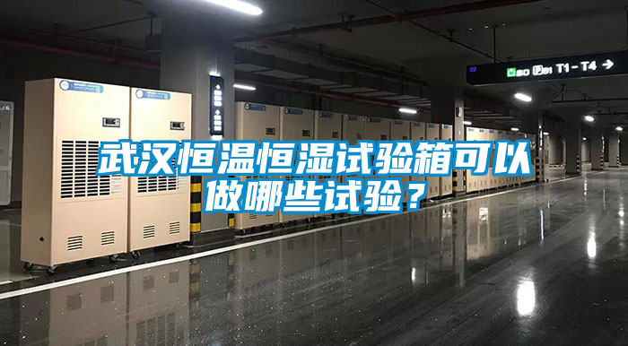 武漢恒溫恒濕試驗(yàn)箱可以做哪些試驗(yàn)？