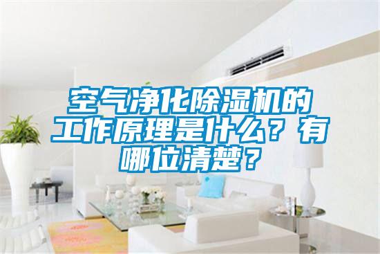 空氣凈化除濕機(jī)的工作原理是什么？有哪位清楚？