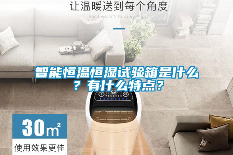 智能恒溫恒濕試驗(yàn)箱是什么？有什么特點(diǎn)？