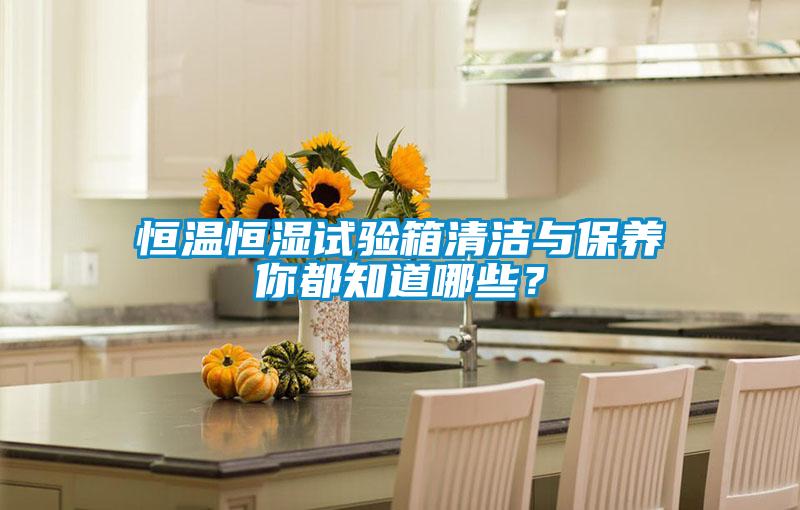 恒溫恒濕試驗(yàn)箱清潔與保養(yǎng)你都知道哪些？