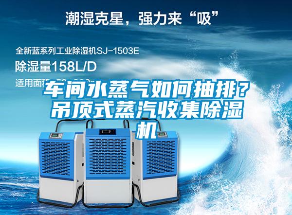 車間水蒸氣如何抽排？吊頂式蒸汽收集除濕機