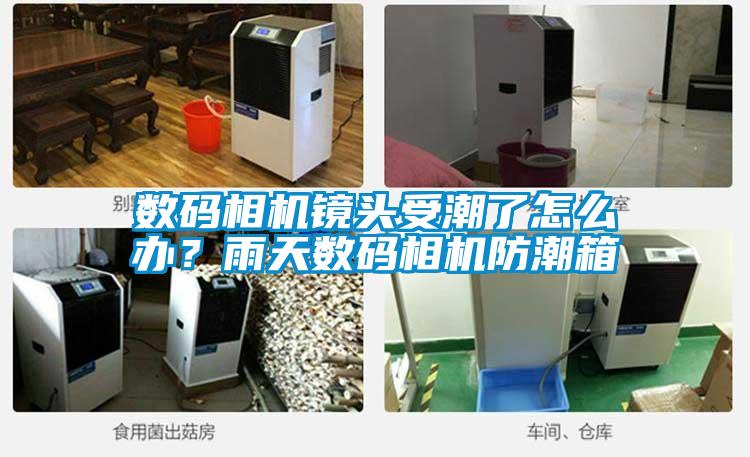 數(shù)碼相機(jī)鏡頭受潮了怎么辦？雨天數(shù)碼相機(jī)防潮箱