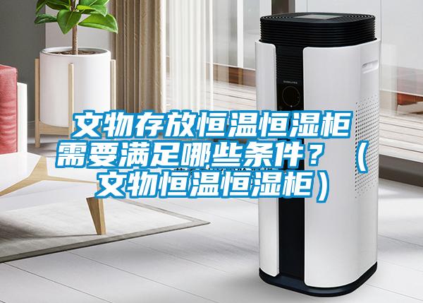 文物存放恒溫恒濕柜需要滿足哪些條件？（文物恒溫恒濕柜）