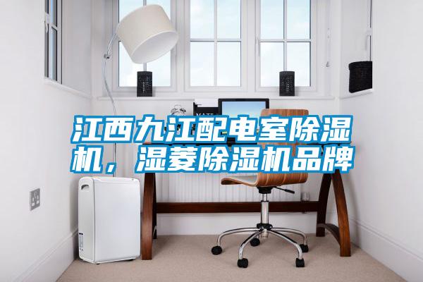 江西九江配電室除濕機(jī)，濕菱除濕機(jī)品牌