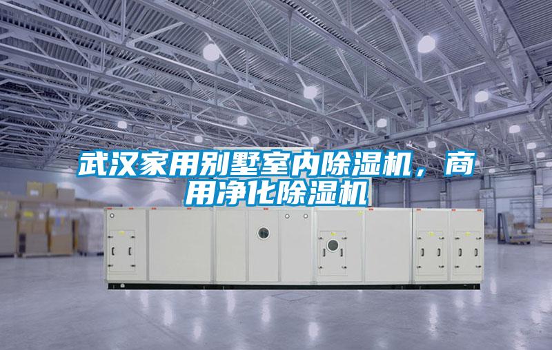 武漢家用別墅室內(nèi)除濕機(jī)，商用凈化除濕機(jī)