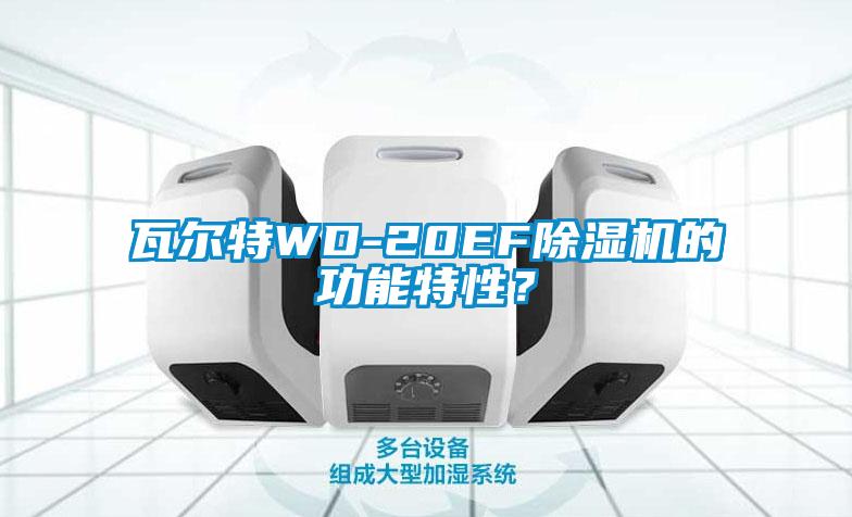 瓦爾特WD-20EF除濕機(jī)的功能特性？