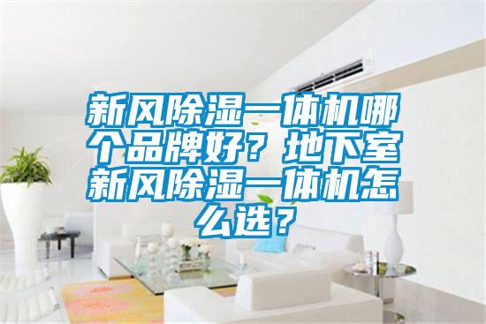 新風(fēng)除濕一體機(jī)哪個(gè)品牌好？地下室新風(fēng)除濕一體機(jī)怎么選？