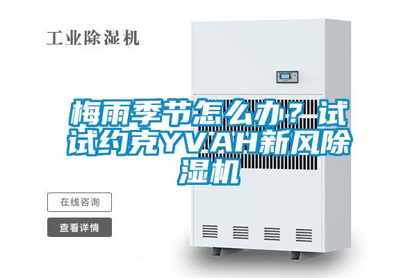 梅雨季節(jié)怎么辦？試試約克YVAH新風(fēng)除濕機(jī)