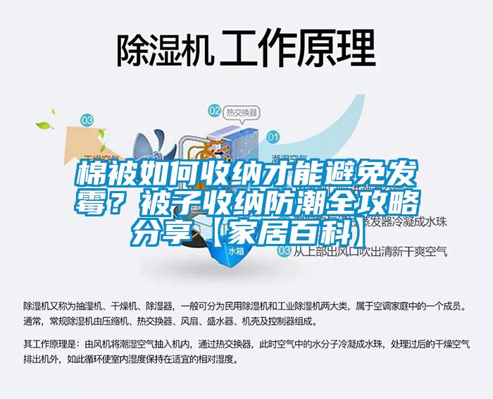 棉被如何收納才能避免發(fā)霉？被子收納防潮全攻略分享【家居百科】