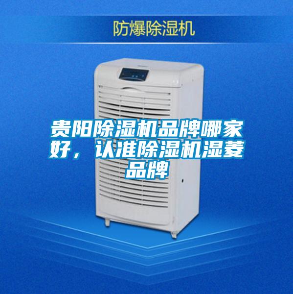 貴陽除濕機(jī)品牌哪家好，認(rèn)準(zhǔn)除濕機(jī)濕菱品牌