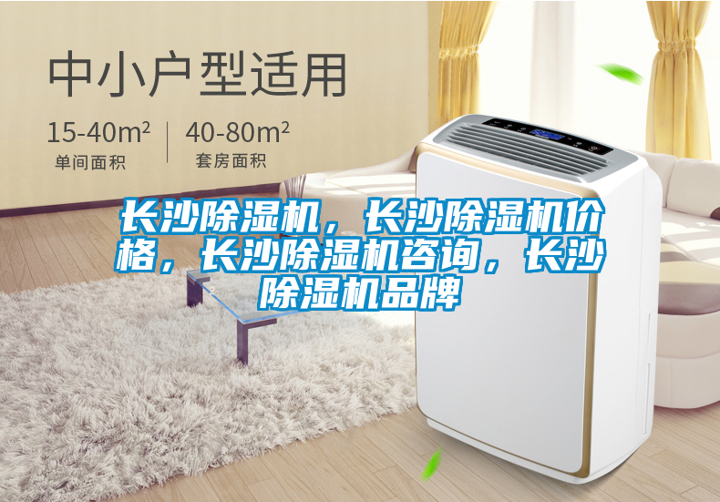 長沙除濕機(jī)，長沙除濕機(jī)價格，長沙除濕機(jī)咨詢，長沙除濕機(jī)品牌