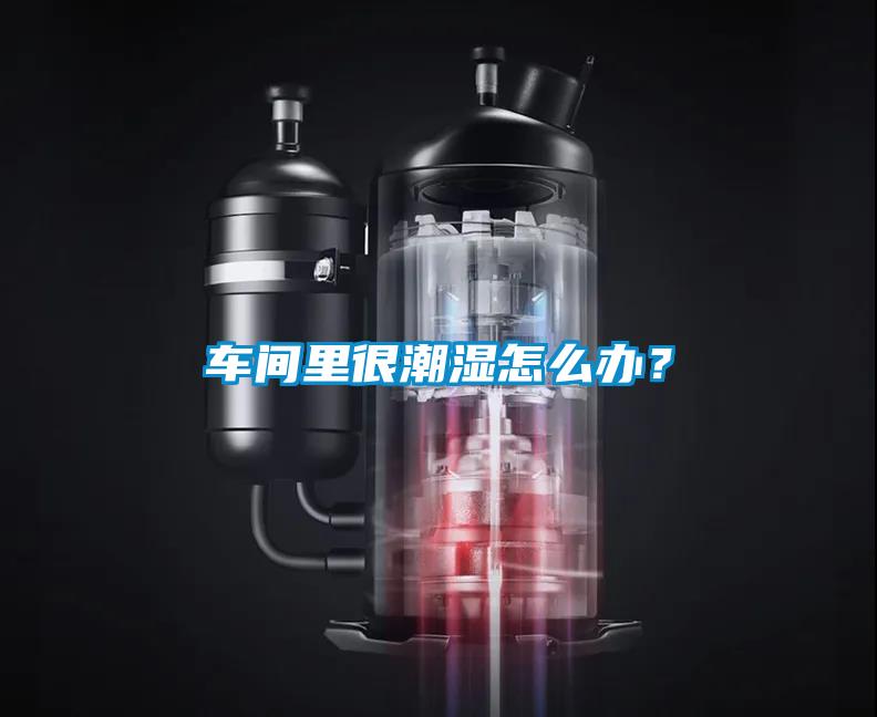 車間里很潮濕怎么辦？