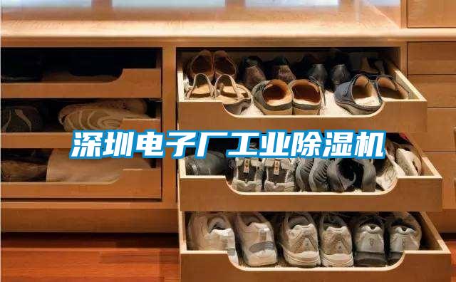深圳電子廠(chǎng)工業(yè)除濕機(jī)