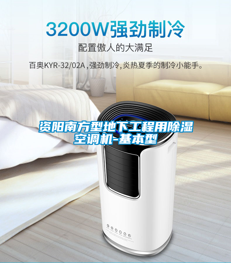 資陽(yáng)南方型地下工程用除濕空調(diào)機(jī)-基本型