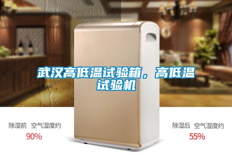 武漢高低溫試驗(yàn)箱，高低溫試驗(yàn)機(jī)