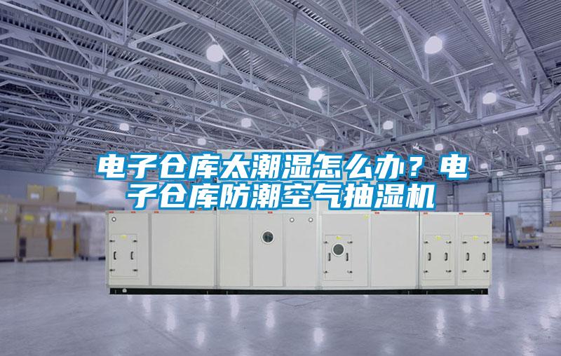 電子倉庫太潮濕怎么辦？電子倉庫防潮空氣抽濕機