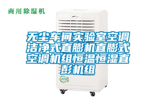 無(wú)塵車間實(shí)驗(yàn)室空調(diào)潔凈式直膨機(jī)直膨式空調(diào)機(jī)組恒溫恒濕直彭機(jī)組