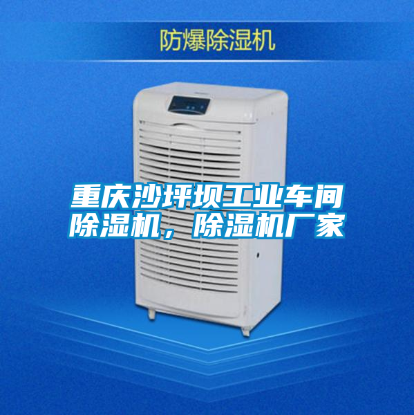 重慶沙坪壩工業(yè)車間除濕機，除濕機廠家