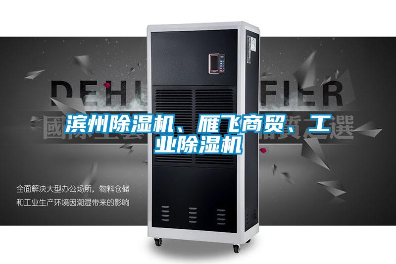 濱州除濕機、雁飛商貿(mào)、工業(yè)除濕機