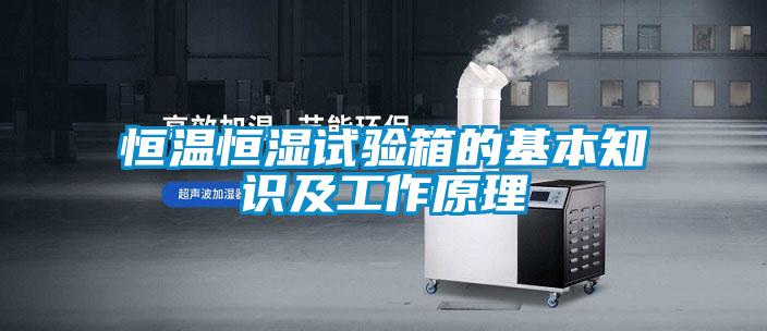 恒溫恒濕試驗(yàn)箱的基本知識及工作原理