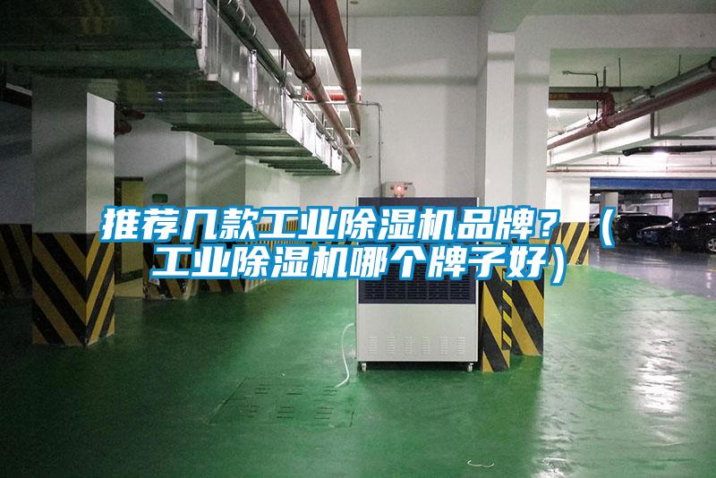 推薦幾款工業(yè)除濕機(jī)品牌？（工業(yè)除濕機(jī)哪個(gè)牌子好）