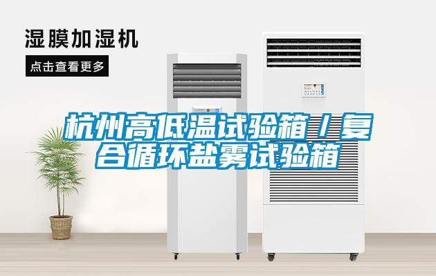 杭州高低溫試驗(yàn)箱／復(fù)合循環(huán)鹽霧試驗(yàn)箱