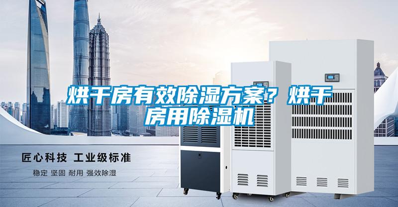 烘干房有效除濕方案？烘干房用除濕機(jī)