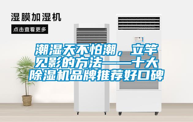 潮濕天不怕潮，立竿見影的方法——十大除濕機(jī)品牌推薦好口碑