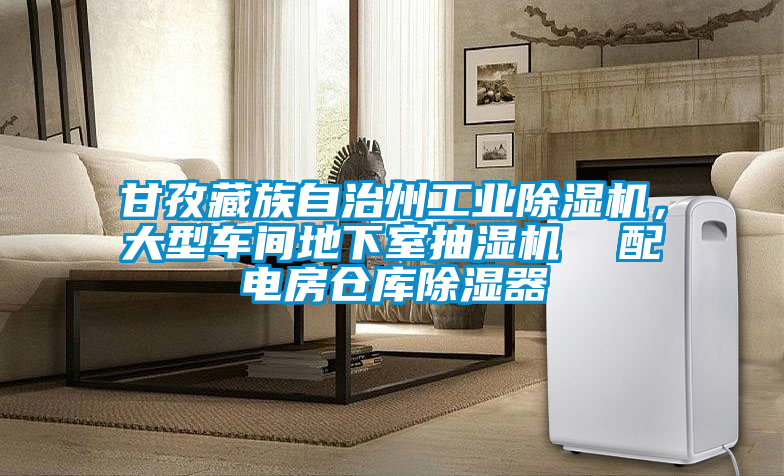 甘孜藏族自治州工業(yè)除濕機(jī)，大型車間地下室抽濕機(jī)  配電房倉(cāng)庫(kù)除濕器