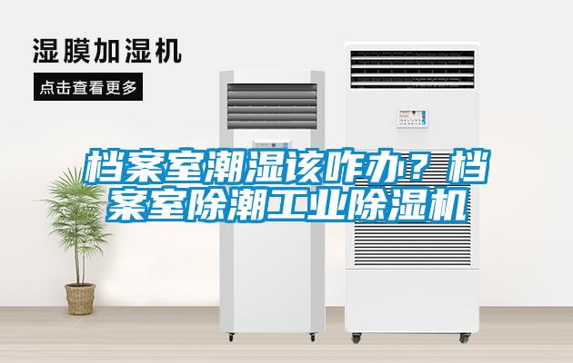 檔案室潮濕該咋辦？檔案室除潮工業(yè)除濕機
