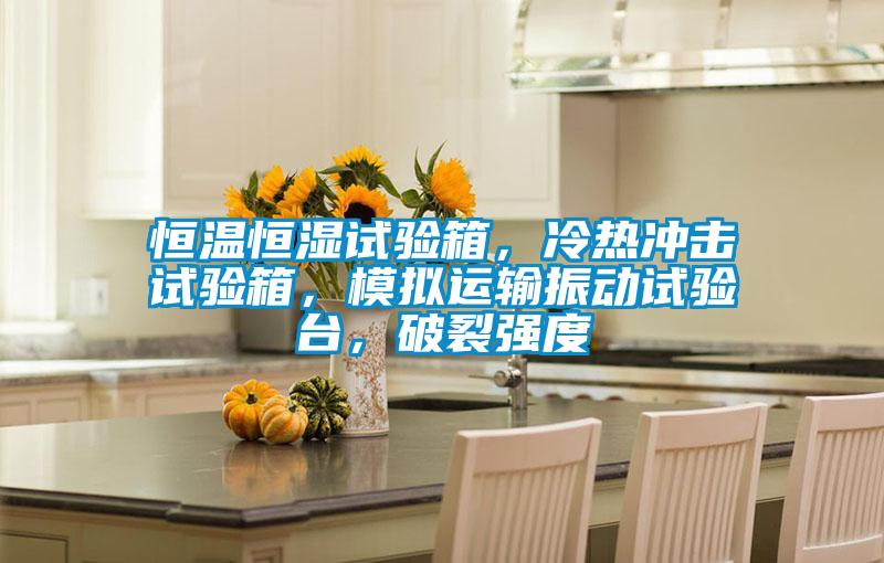 恒溫恒濕試驗箱，冷熱沖擊試驗箱，模擬運輸振動試驗臺，破裂強度