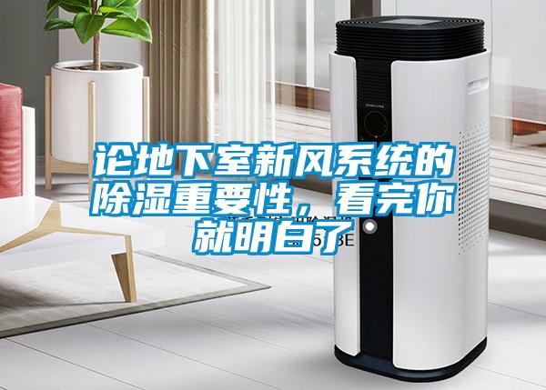 論地下室新風(fēng)系統(tǒng)的除濕重要性，看完你就明白了