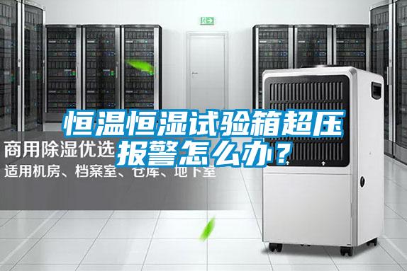 恒溫恒濕試驗(yàn)箱超壓報(bào)警怎么辦？