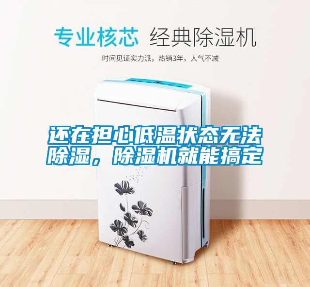 還在擔(dān)心低溫狀態(tài)無法除濕，除濕機就能搞定
