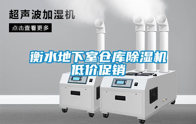 衡水地下室倉(cāng)庫(kù)除濕機(jī)低價(jià)促銷