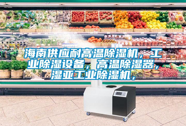 海南供應耐高溫除濕機，工業(yè)除濕設備，高溫除濕器，濕亞工業(yè)除濕機，