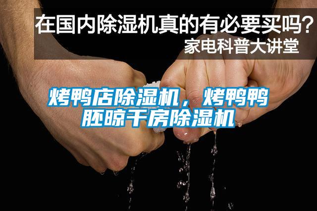 烤鴨店除濕機，烤鴨鴨胚晾干房除濕機