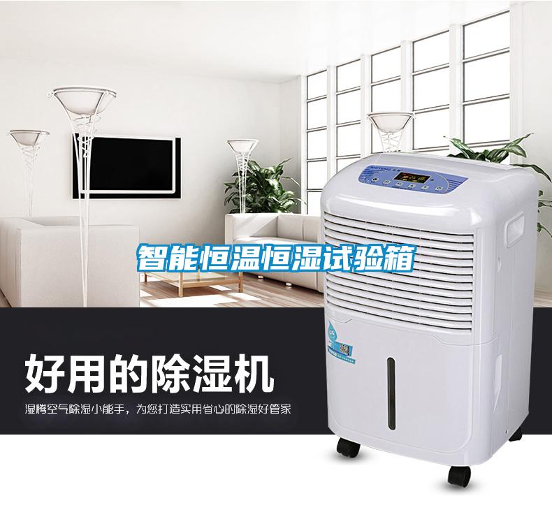 智能恒溫恒濕試驗箱