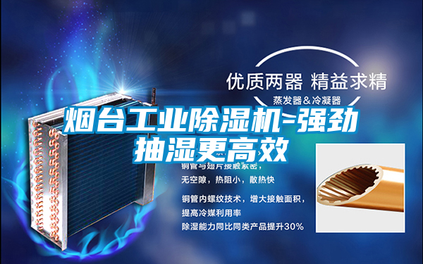 煙臺工業(yè)除濕機(jī)-強(qiáng)勁抽濕更高效