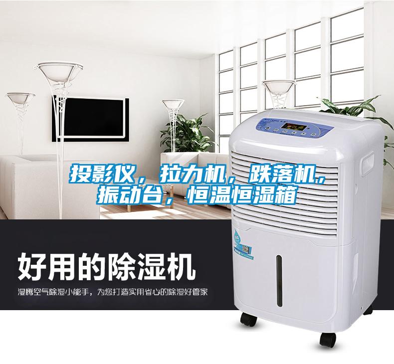 投影儀，拉力機，跌落機，振動臺，恒溫恒濕箱