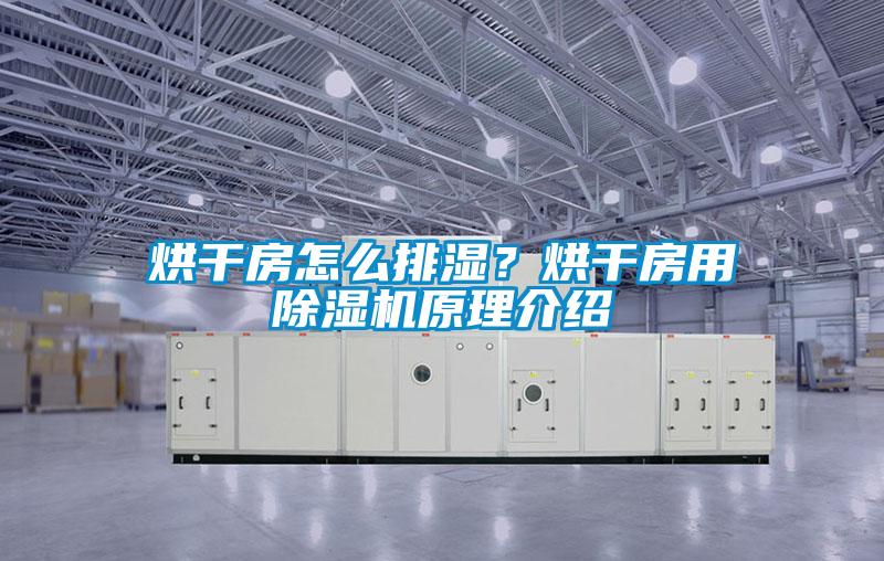 烘干房怎么排濕？烘干房用除濕機(jī)原理介紹